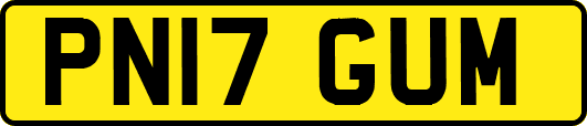 PN17GUM