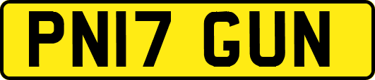 PN17GUN