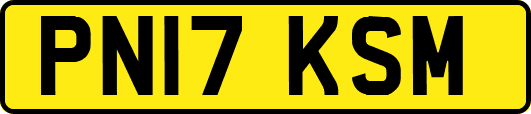 PN17KSM