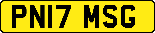PN17MSG