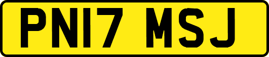 PN17MSJ