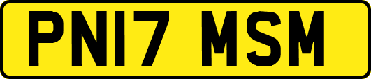 PN17MSM