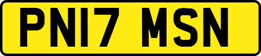 PN17MSN