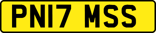 PN17MSS