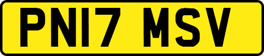 PN17MSV