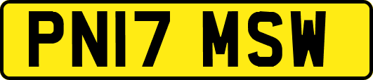 PN17MSW
