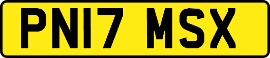 PN17MSX