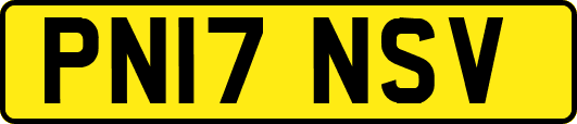 PN17NSV