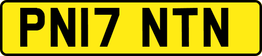 PN17NTN