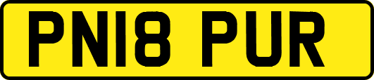 PN18PUR