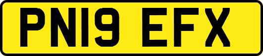 PN19EFX