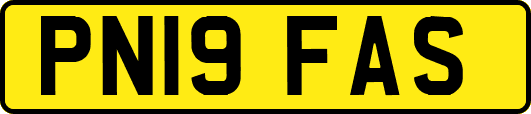 PN19FAS