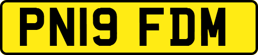 PN19FDM