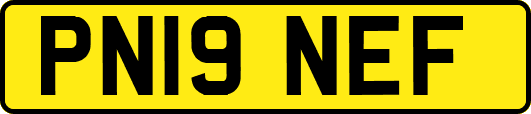 PN19NEF