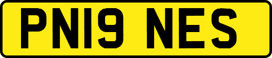 PN19NES