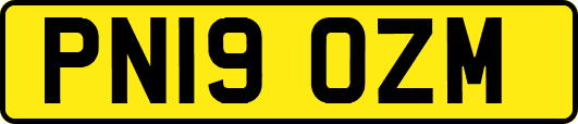 PN19OZM
