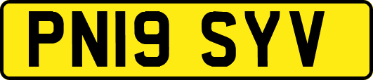 PN19SYV