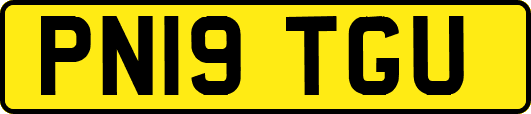 PN19TGU