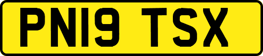 PN19TSX