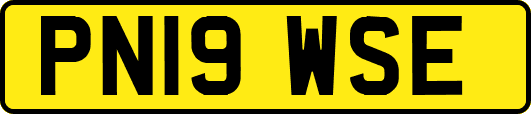PN19WSE