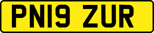 PN19ZUR