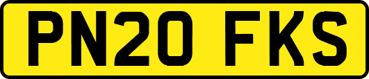 PN20FKS