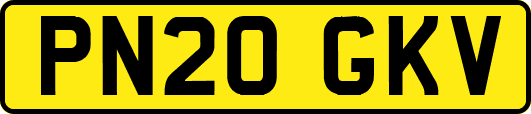 PN20GKV