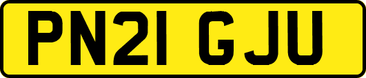 PN21GJU