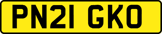 PN21GKO