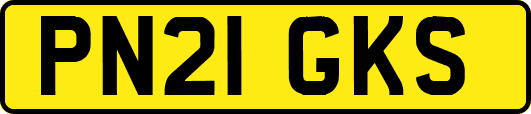 PN21GKS