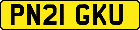 PN21GKU