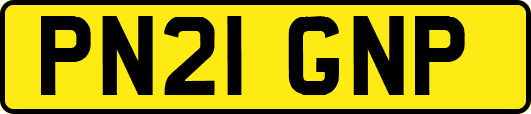 PN21GNP