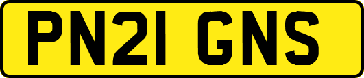 PN21GNS