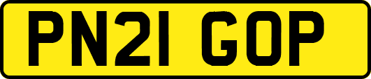 PN21GOP