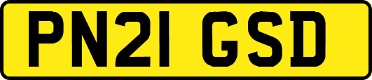 PN21GSD