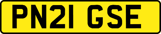 PN21GSE