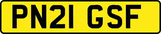PN21GSF