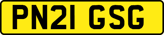 PN21GSG