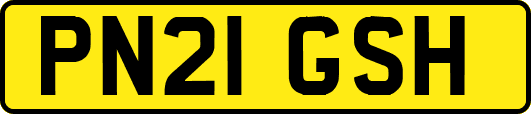 PN21GSH