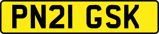 PN21GSK
