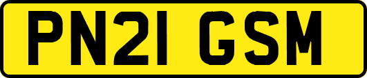 PN21GSM