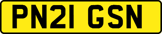 PN21GSN