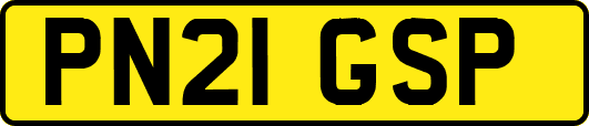 PN21GSP