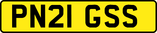 PN21GSS