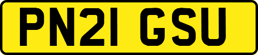 PN21GSU