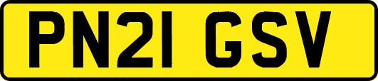 PN21GSV
