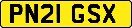 PN21GSX