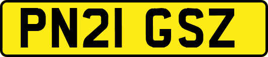 PN21GSZ
