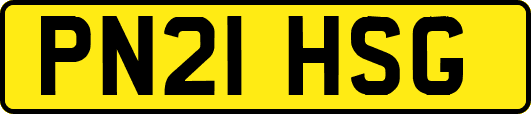 PN21HSG