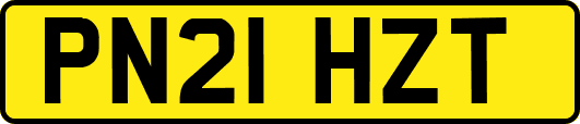 PN21HZT